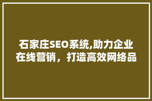 石家庄SEO系统,助力企业在线营销，打造高效网络品牌