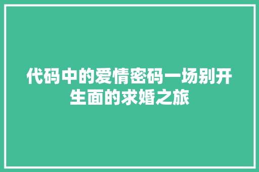 代码中的爱情密码一场别开生面的求婚之旅