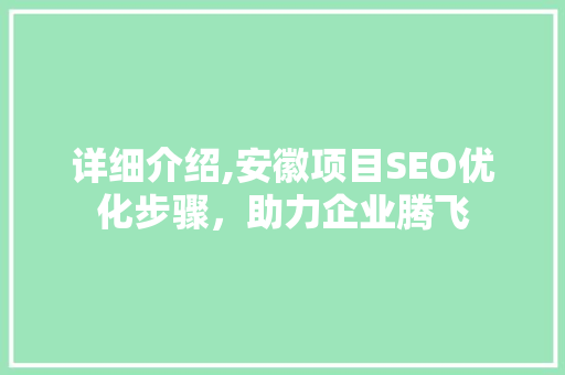 详细介绍,安徽项目SEO优化步骤，助力企业腾飞