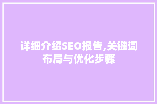 详细介绍SEO报告,关键词布局与优化步骤