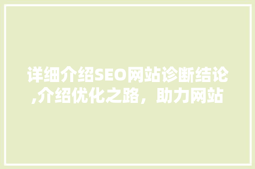 详细介绍SEO网站诊断结论,介绍优化之路，助力网站提升排名