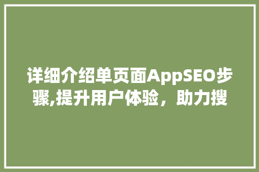 详细介绍单页面AppSEO步骤,提升用户体验，助力搜索引擎优化