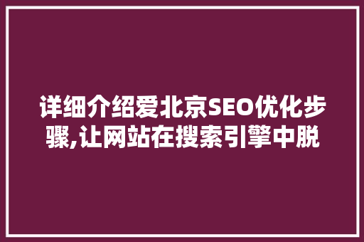 详细介绍爱北京SEO优化步骤,让网站在搜索引擎中脱颖而出