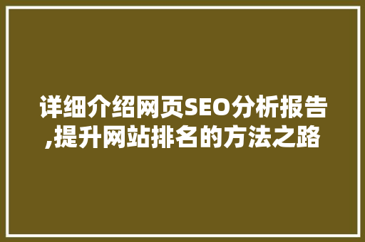 详细介绍网页SEO分析报告,提升网站排名的方法之路