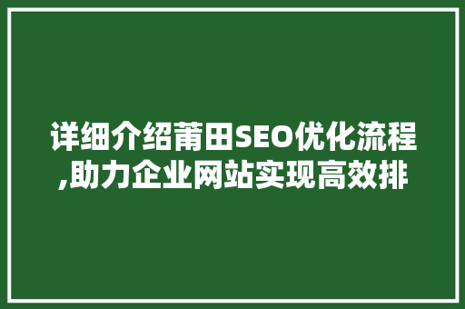 详细介绍莆田SEO优化流程,助力企业网站实现高效排名