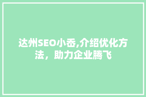 达州SEO小岙,介绍优化方法，助力企业腾飞
