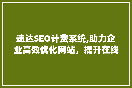 速达SEO计费系统,助力企业高效优化网站，提升在线竞争力