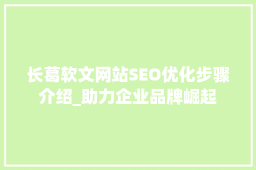 长葛软文网站SEO优化步骤介绍_助力企业品牌崛起  第1张