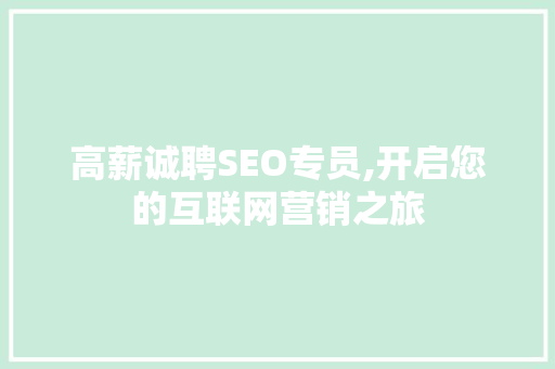 高薪诚聘SEO专员,开启您的互联网营销之旅