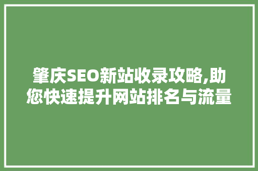肇庆SEO新站收录攻略,助您快速提升网站排名与流量
