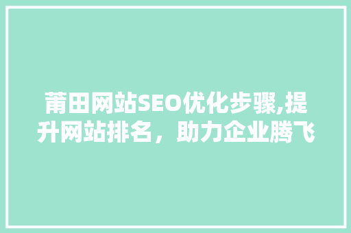 莆田网站SEO优化步骤,提升网站排名，助力企业腾飞