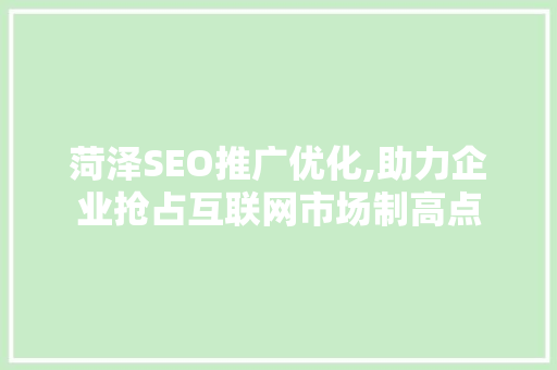 菏泽SEO推广优化,助力企业抢占互联网市场制高点