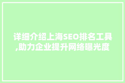 详细介绍上海SEO排名工具,助力企业提升网络曝光度