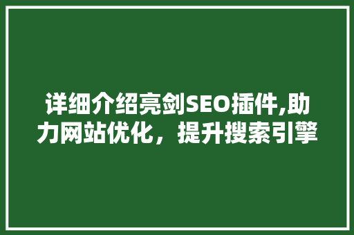 详细介绍亮剑SEO插件,助力网站优化，提升搜索引擎排名