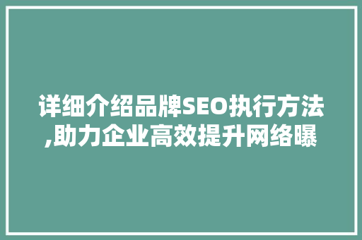 详细介绍品牌SEO执行方法,助力企业高效提升网络曝光与品牌价值  第1张
