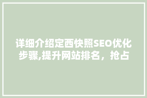 详细介绍定西快照SEO优化步骤,提升网站排名，抢占流量高地
