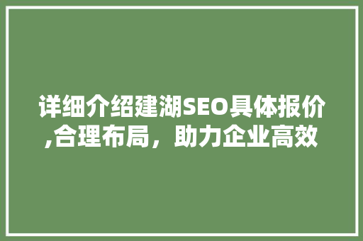 详细介绍建湖SEO具体报价,合理布局，助力企业高效提升网络曝光