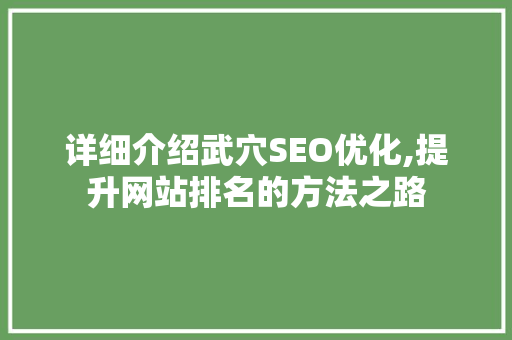 详细介绍武穴SEO优化,提升网站排名的方法之路