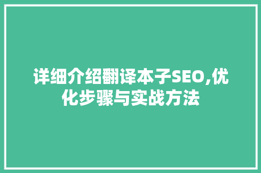 详细介绍翻译本子SEO,优化步骤与实战方法