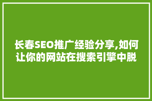 长春SEO推广经验分享,如何让你的网站在搜索引擎中脱颖而出