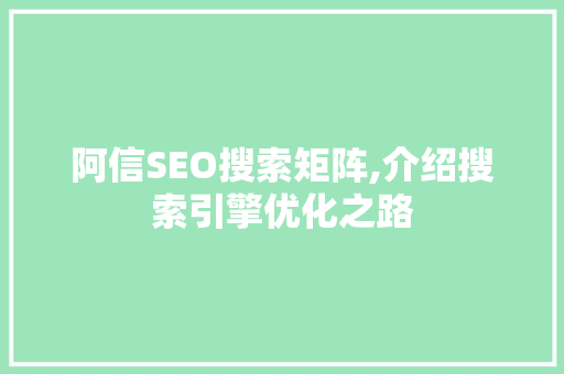 阿信SEO搜索矩阵,介绍搜索引擎优化之路