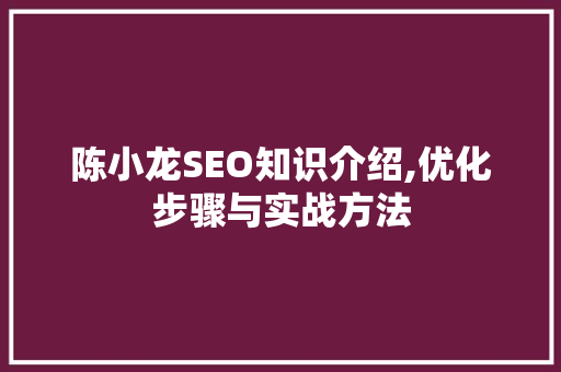 陈小龙SEO知识介绍,优化步骤与实战方法