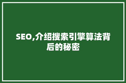 SEO,介绍搜索引擎算法背后的秘密