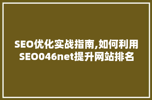 SEO优化实战指南,如何利用SEO046net提升网站排名