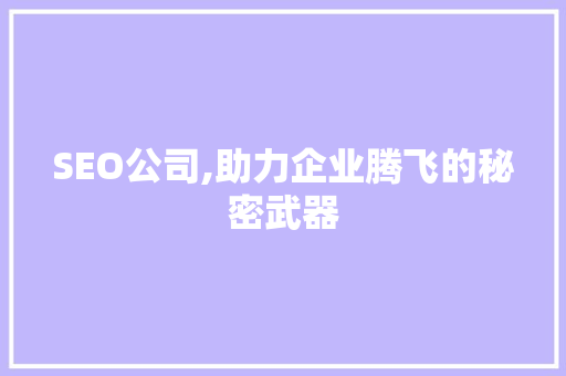 SEO公司,助力企业腾飞的秘密武器
