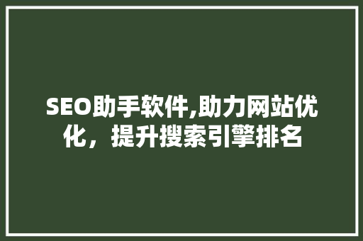 SEO助手软件,助力网站优化，提升搜索引擎排名