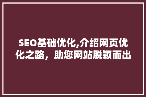 SEO基础优化,介绍网页优化之路，助您网站脱颖而出