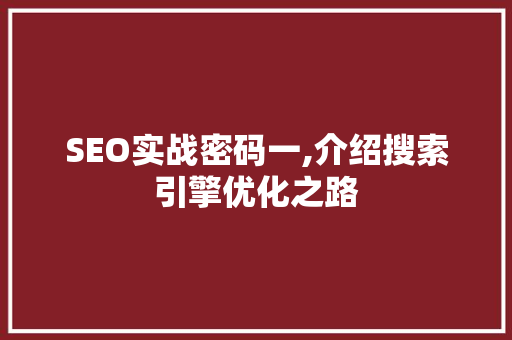SEO实战密码一,介绍搜索引擎优化之路