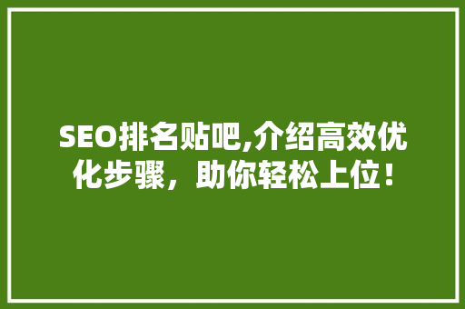 SEO排名贴吧,介绍高效优化步骤，助你轻松上位！