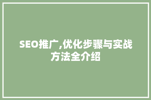 SEO推广,优化步骤与实战方法全介绍