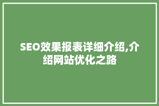 SEO效果报表详细介绍,介绍网站优化之路