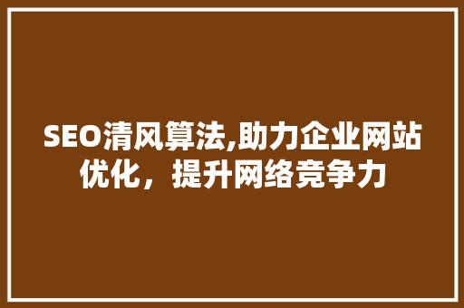 SEO清风算法,助力企业网站优化，提升网络竞争力