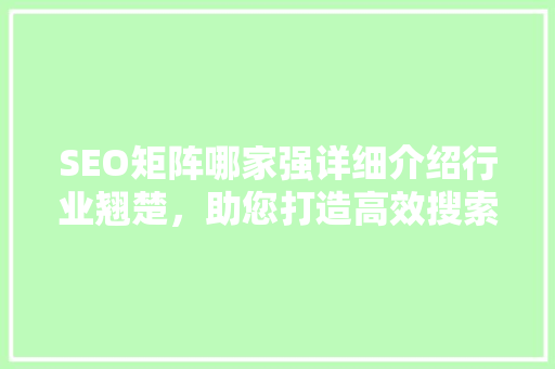 SEO矩阵哪家强详细介绍行业翘楚，助您打造高效搜索引擎优化步骤