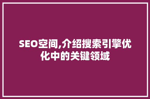 SEO空间,介绍搜索引擎优化中的关键领域