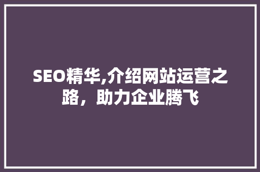 SEO精华,介绍网站运营之路，助力企业腾飞
