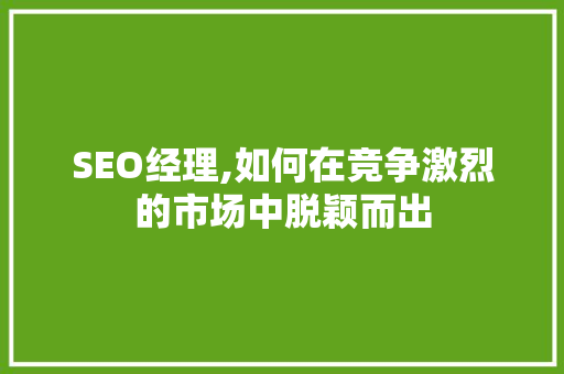 SEO经理,如何在竞争激烈的市场中脱颖而出