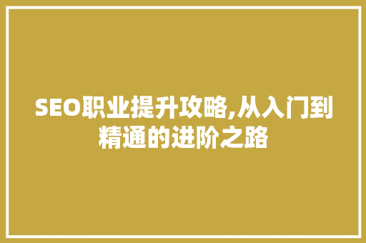 SEO职业提升攻略,从入门到精通的进阶之路