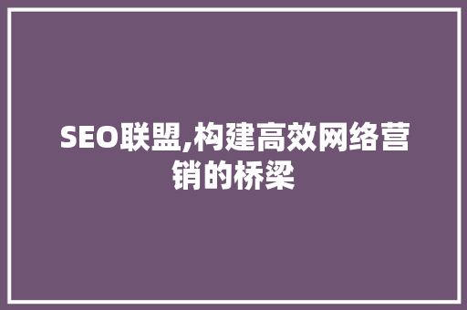 SEO联盟,构建高效网络营销的桥梁
