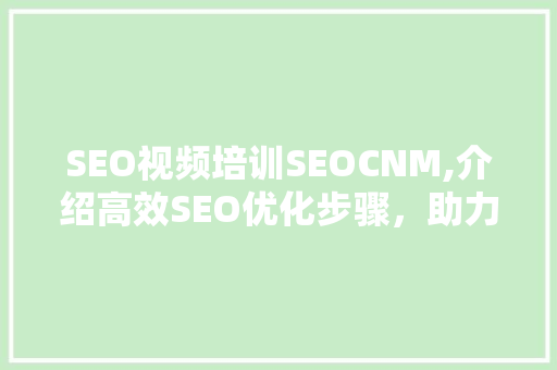 SEO视频培训SEOCNM,介绍高效SEO优化步骤，助力企业腾飞  第1张