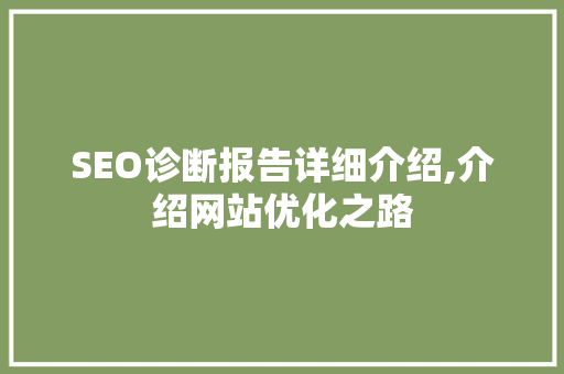SEO诊断报告详细介绍,介绍网站优化之路  第1张