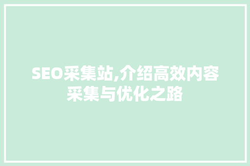 SEO采集站,介绍高效内容采集与优化之路