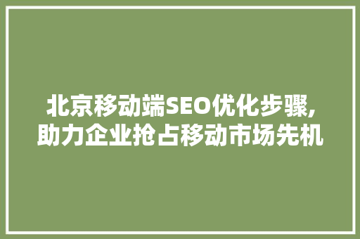 北京移动端SEO优化步骤,助力企业抢占移动市场先机