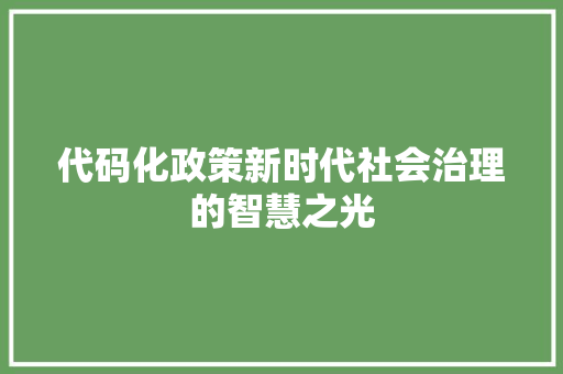 代码化政策新时代社会治理的智慧之光