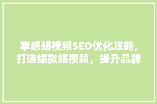 孝感短视频SEO优化攻略,打造爆款短视频，提升品牌影响力