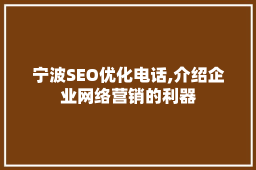宁波SEO优化电话,介绍企业网络营销的利器