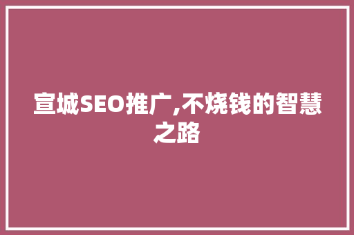 宣城SEO推广,不烧钱的智慧之路